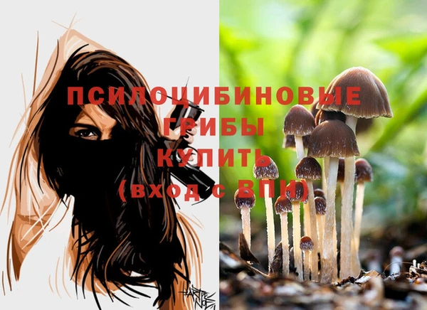 скорость Абинск
