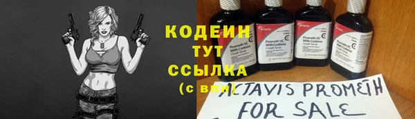 ECSTASY Алзамай