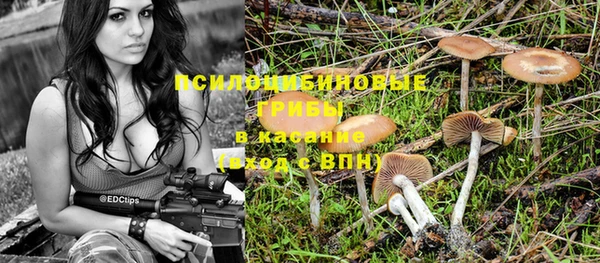 соль ск Алексеевка
